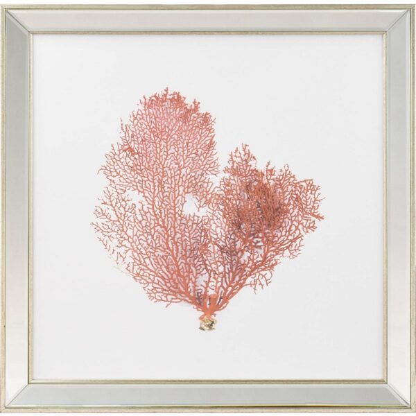 Cuadro coral rojo 50x50cm